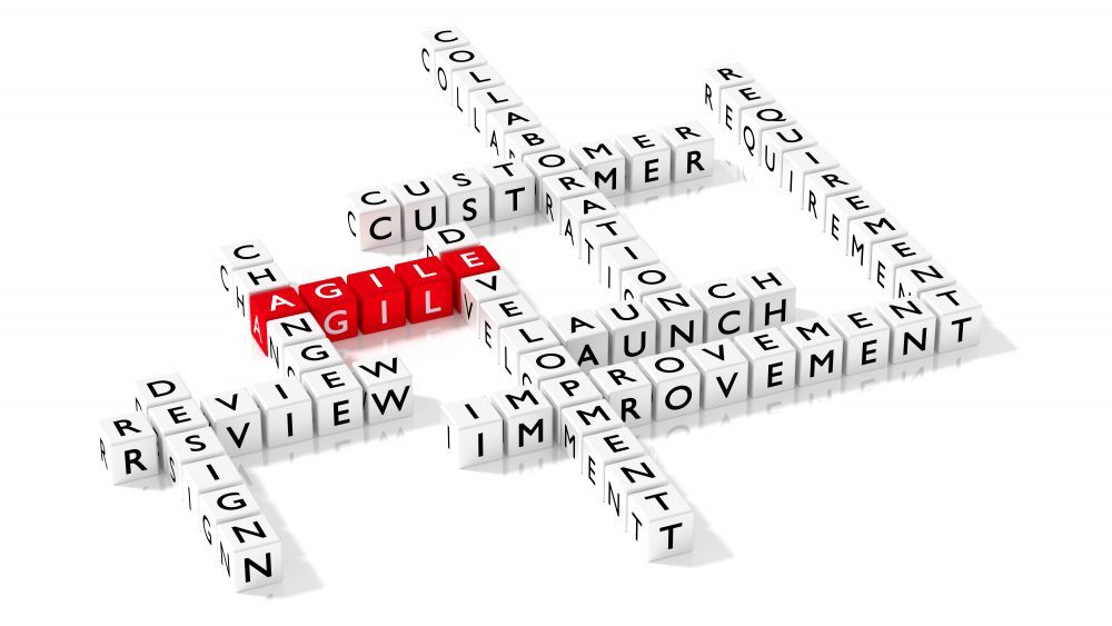 Conf&eacute;rence - Agilit&eacute; Interculturelle